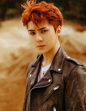 EXO Sehun "Don't Mess Up My Tempo" teasers