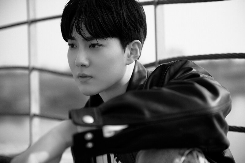 SUHO 'GREY SUIT' Concept Teasers documents 5