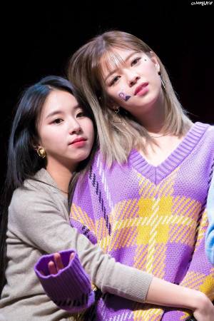 181117 TWICE Chaeyoung & Jeongyeon at fansign