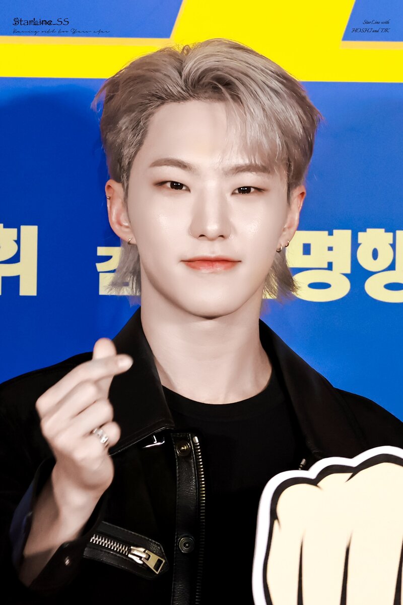 240415 SEVENTEEN Hoshi - "The Round Up 4" VIP Premiere documents 7