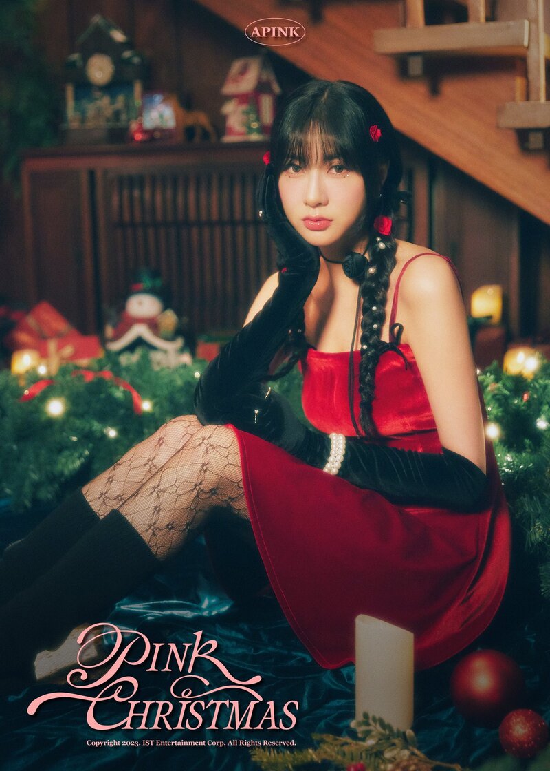 APINK - "Pink Christmas" Concept Photos documents 3