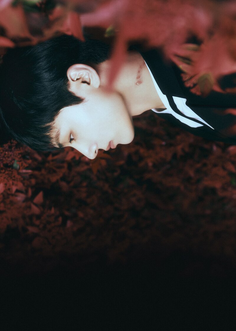 ENHYPEN 4th Mini-Album <DARK BLOOD> Concept Photo documents 5