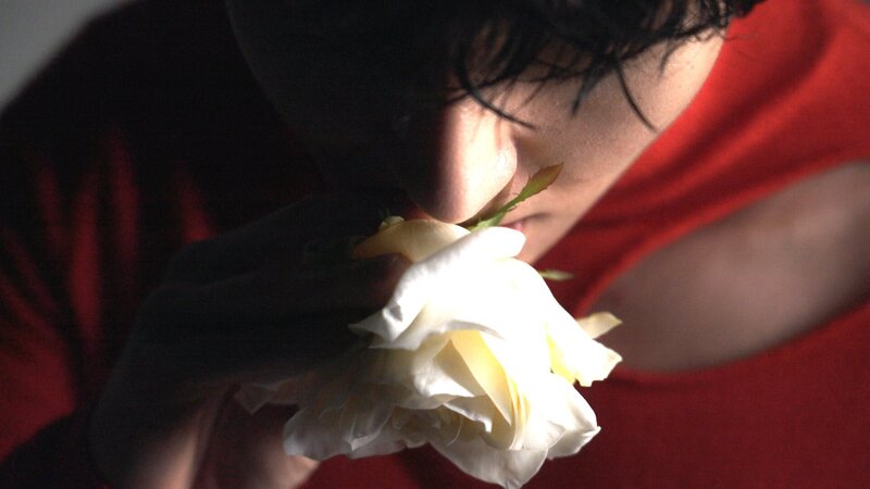 The Rose "Black Rose Fragrance" Teaser Photos documents 1