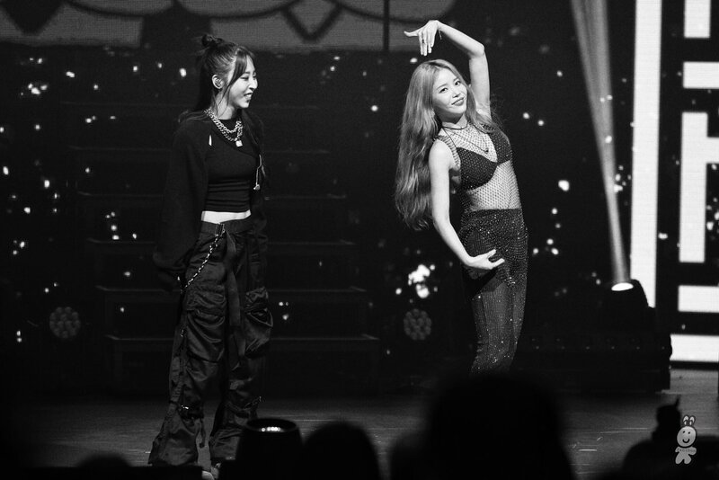 231008 MAMAMOO+ - 'TWO RABBITS CODE' Asia Tour in Japan Day 1 documents 13