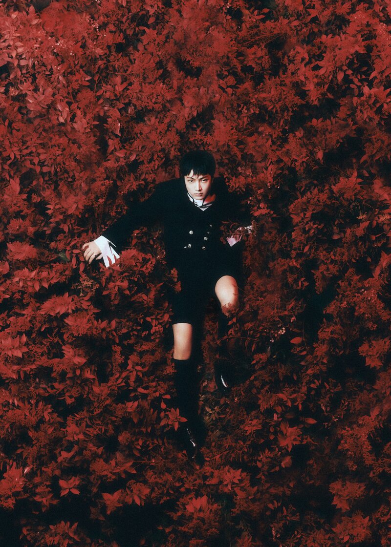 ENHYPEN 4th Mini-Album <DARK BLOOD> Concept Photo documents 6