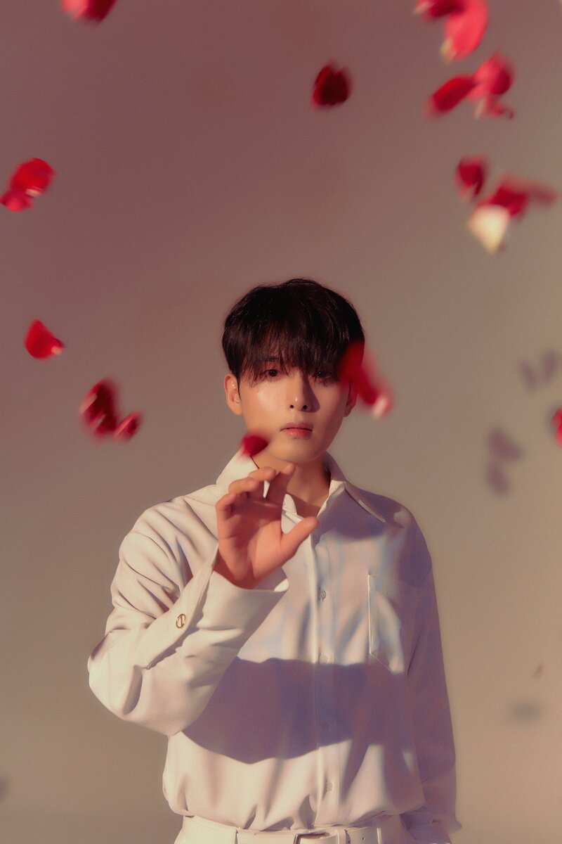 Ryeowook - 'A Wild Rose' Concept Teaser Images documents 2
