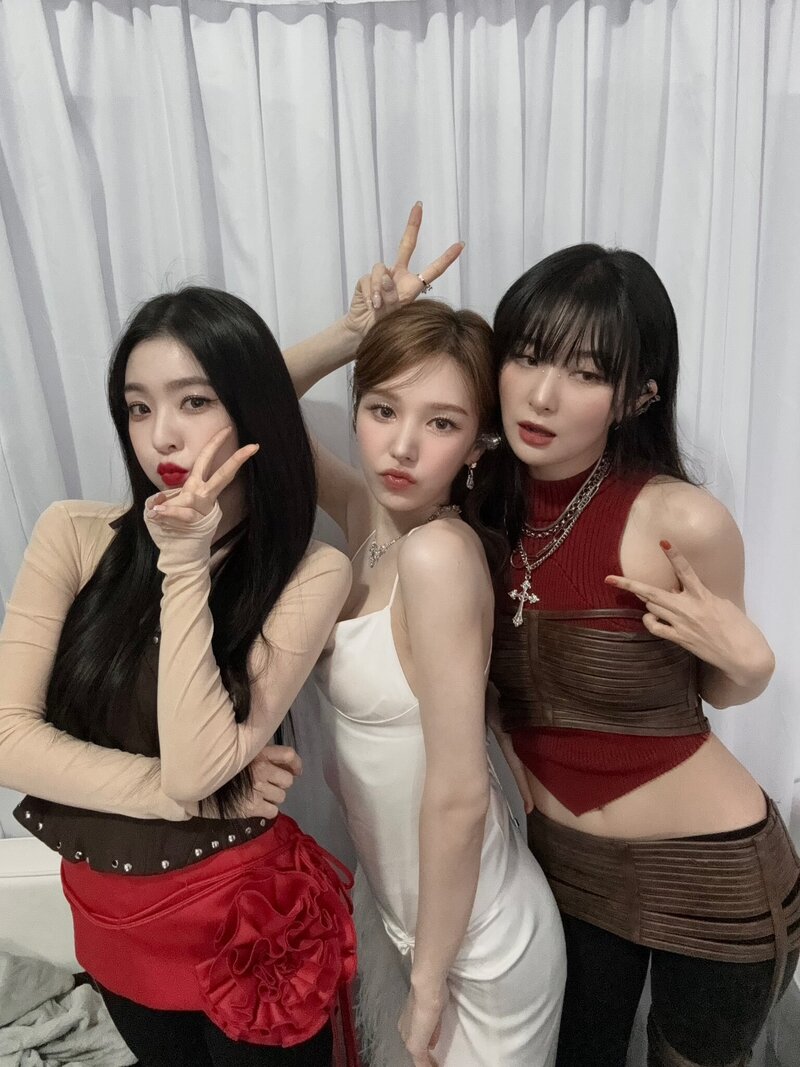 240101 - Red Velvet Twitter Update with SEULGI, WENDY n IRENE - HAPPY NEW YEAR documents 1