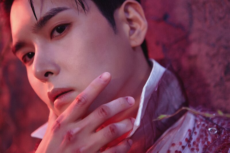 Ryeowook - 'A Wild Rose' Concept Teaser Images documents 11