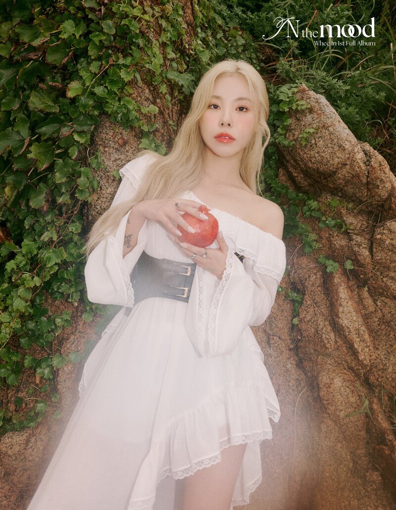 Whee In - "IN the mood" Concept Photos documents 1
