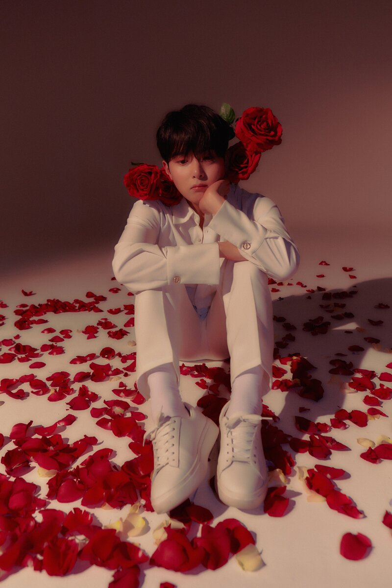 Ryeowook - 'A Wild Rose' Concept Teaser Images documents 14