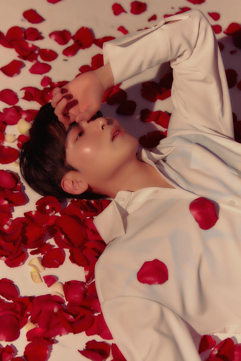 Ryeowook - 'A Wild Rose' Concept Teaser Images documents 3