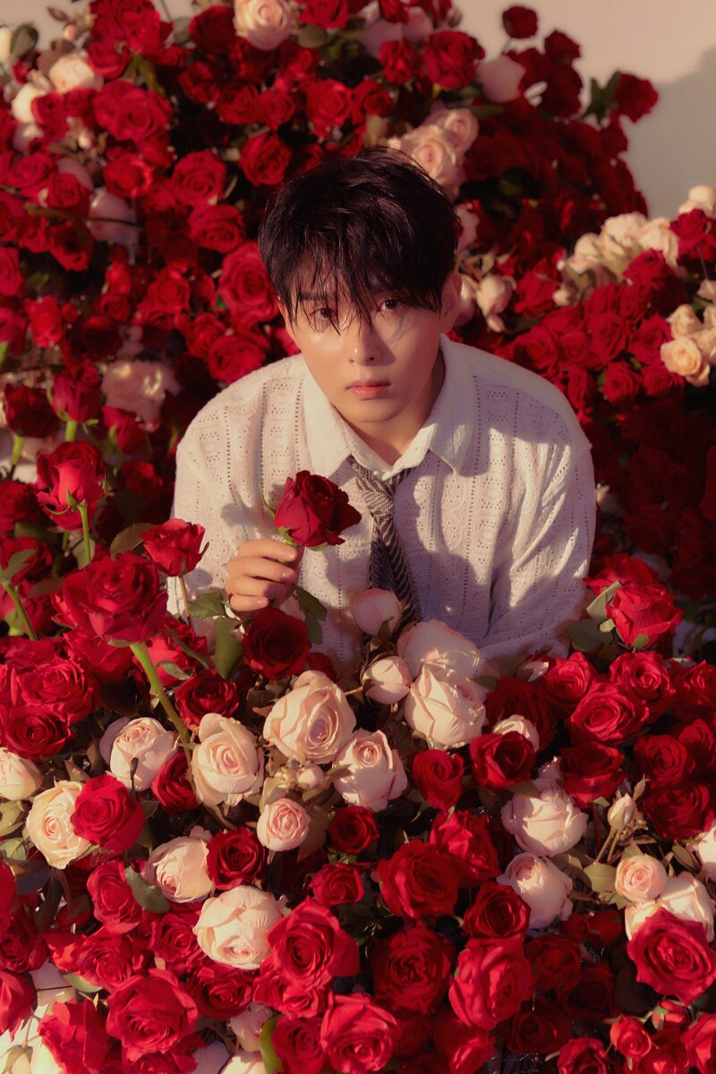 Ryeowook - 'A Wild Rose' Concept Teaser Images documents 12