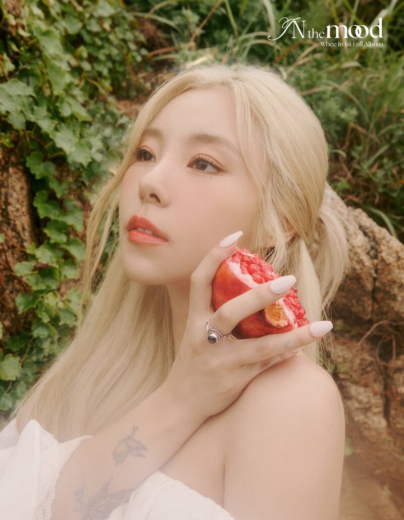Whee In - "IN the mood" Concept Photos documents 2