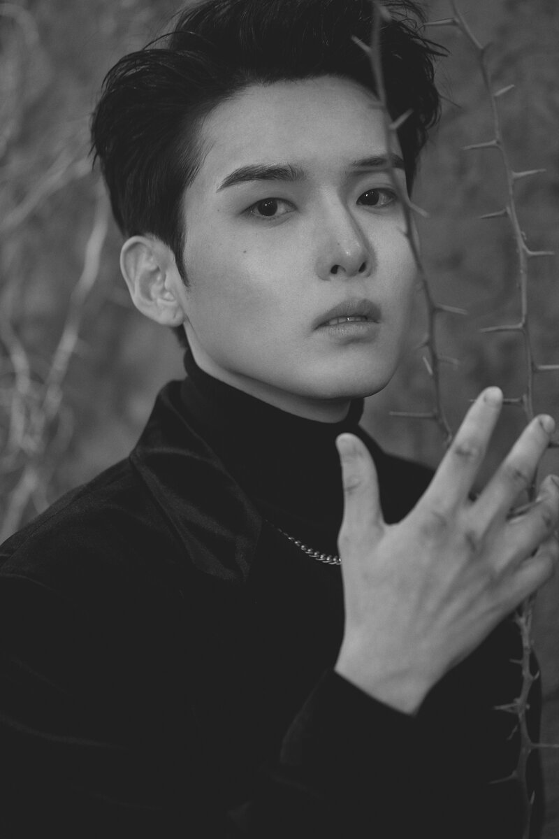 Ryeowook - 'A Wild Rose' Concept Teaser Images documents 8