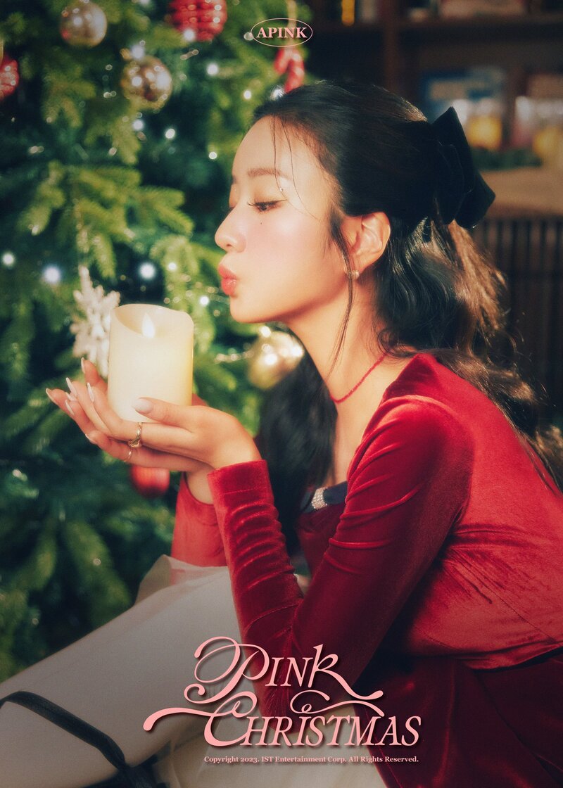 APINK - "Pink Christmas" Concept Photos documents 4