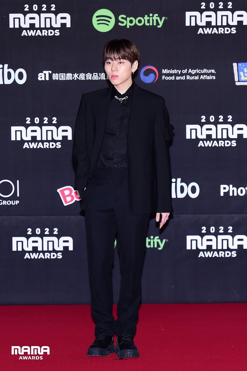 221130 ZICO at 2022 MAMA AWARDS Red Carpet Day 2 documents 1