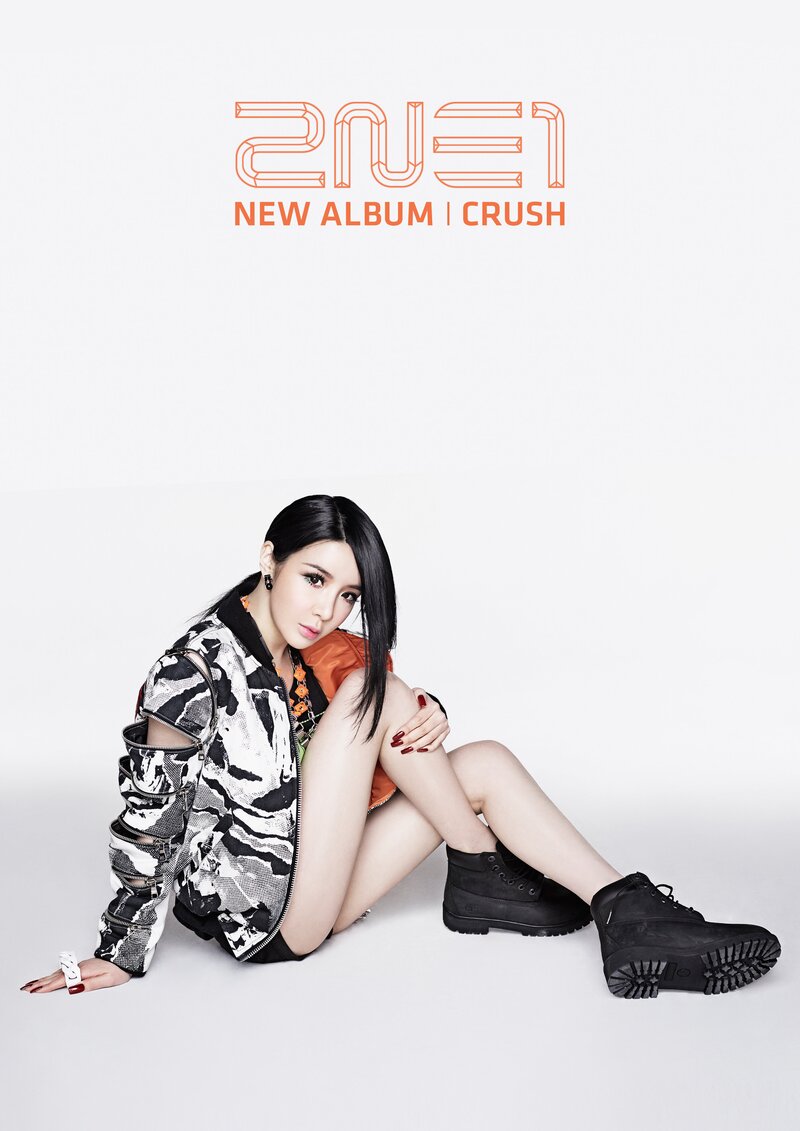 2NE1 'Crush' concept photos documents 1
