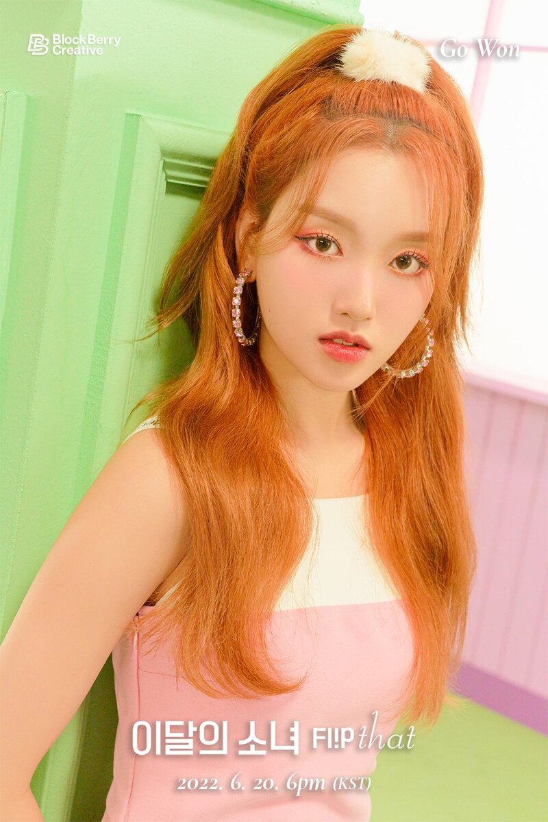 LOONA Summer Special Album 'Flip That' Concept Teasers documents 25