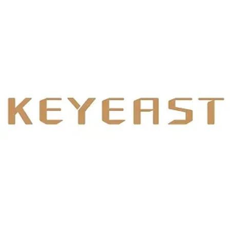 KeyEast logo