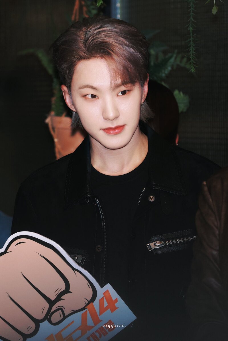 240415 SEVENTEEN Hoshi - "The Round Up 4" VIP Premiere documents 5