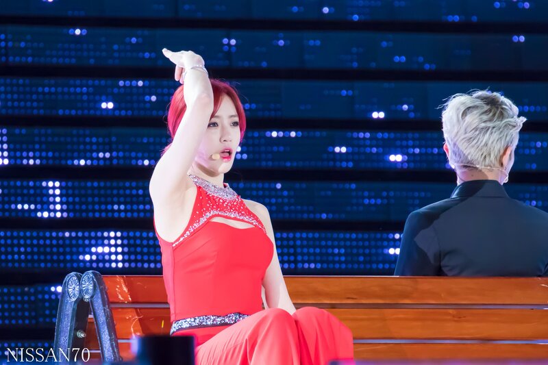 150523 T-ara Eunjung at 2015 Dream Concert documents 11