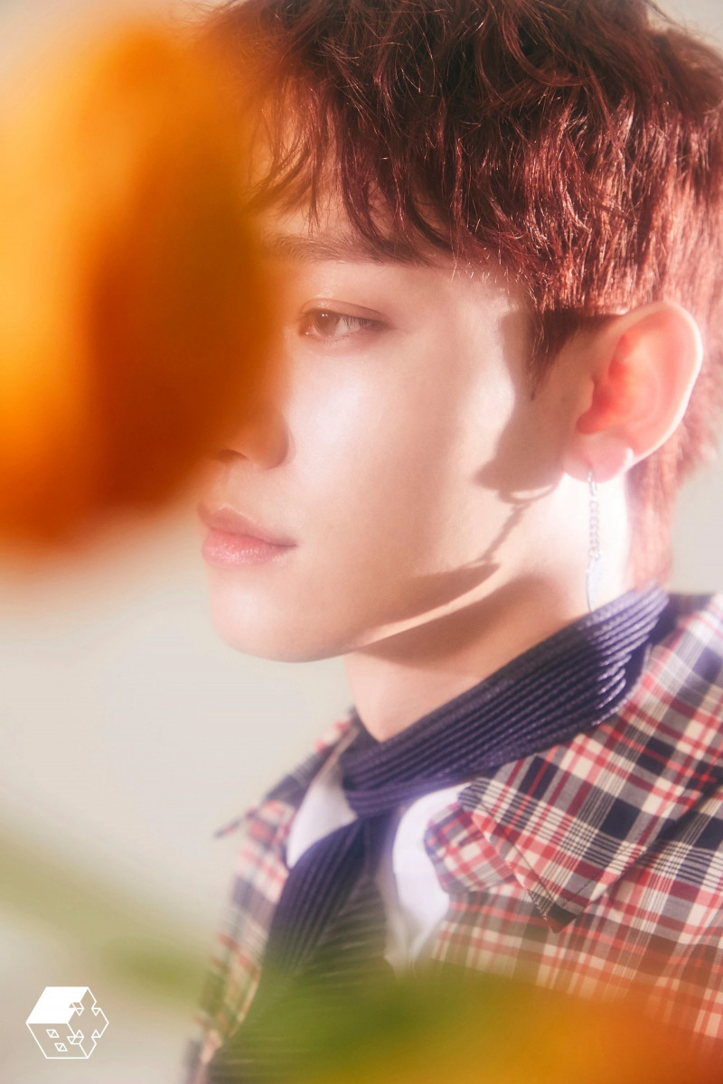 EXO-CBX "Blooming Days" Concept Teaser Images documents 17