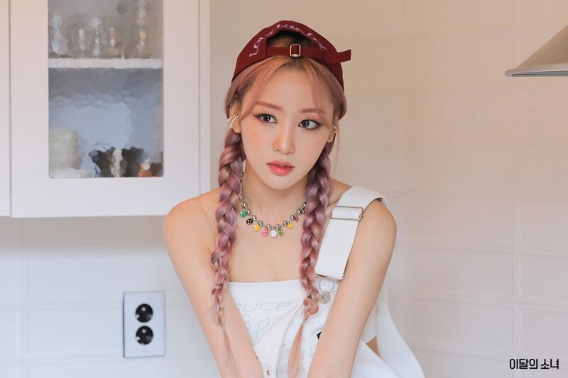 LOONA Fancafe - 2022 Summer Package Behind Photos documents 1