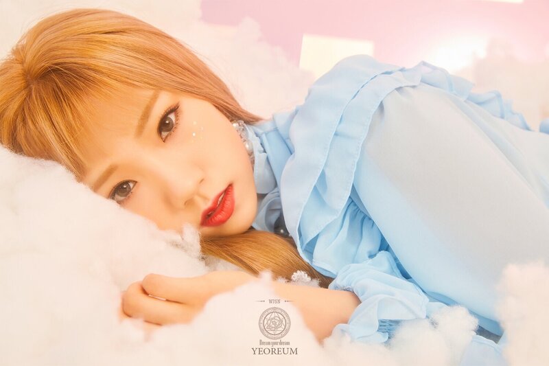 WJSN - Dream Your Dream 4th Mini Album teasers documents 3