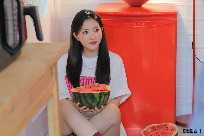 LOONA Fancafe - 2022 Summer Package Behind Photos documents 11