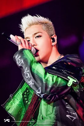 171231 YG Entertainment Press Release - Taeyang at BIGBANG's 'Last Dance' Concert in Seoul