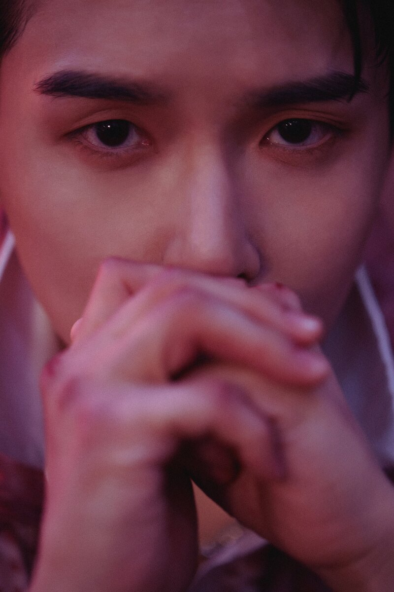 Ryeowook - 'A Wild Rose' Concept Teaser Images documents 19