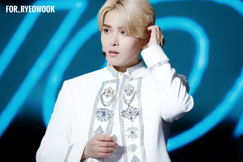 200119 Super Junior Ryeowook at SS8 in Macau (Day 2) documents 1