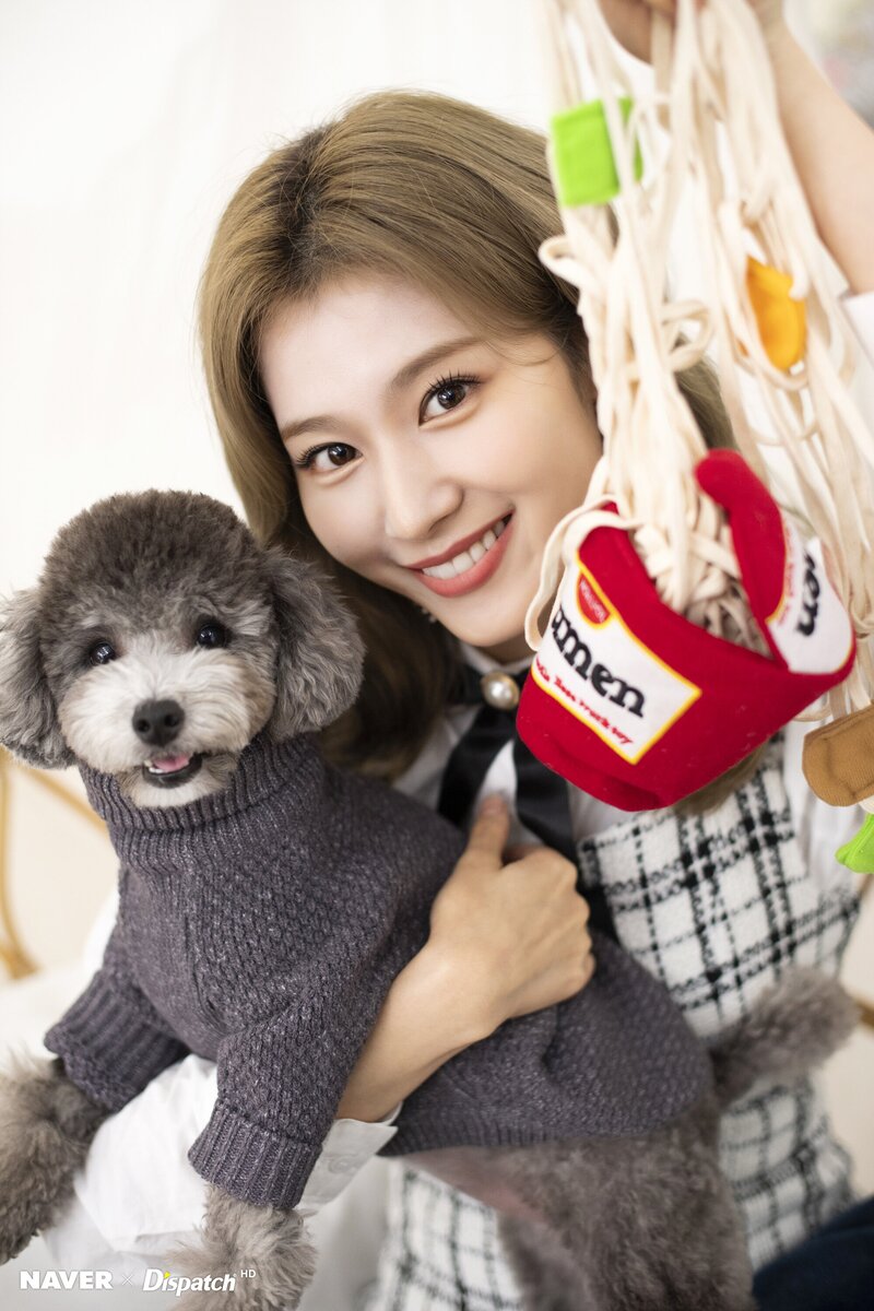 200214 TWICE x Dicon behind the scenes photos by Naver x Dispatch documents 3