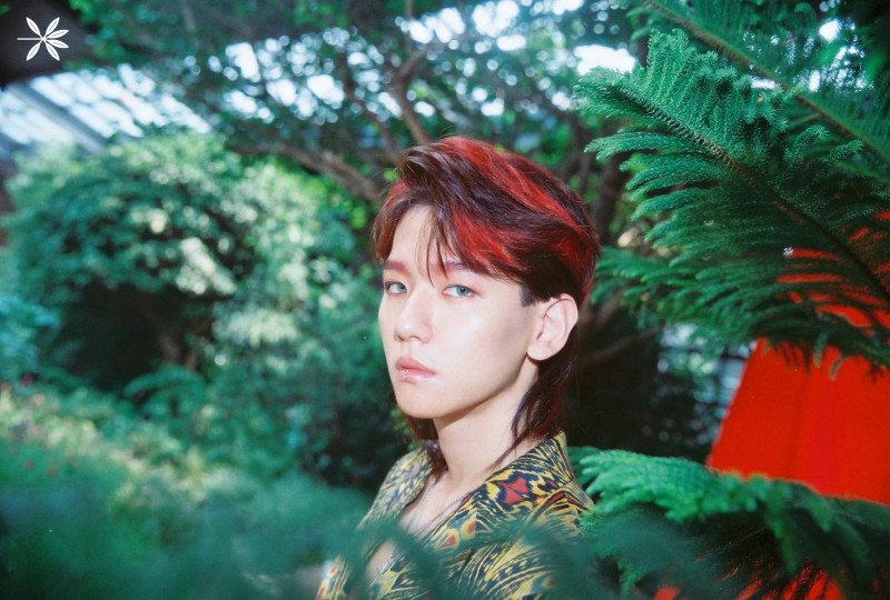 EXO "The War" Concept Teaser Images documents 7