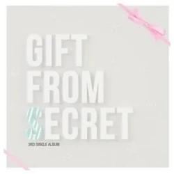Gift from Secret