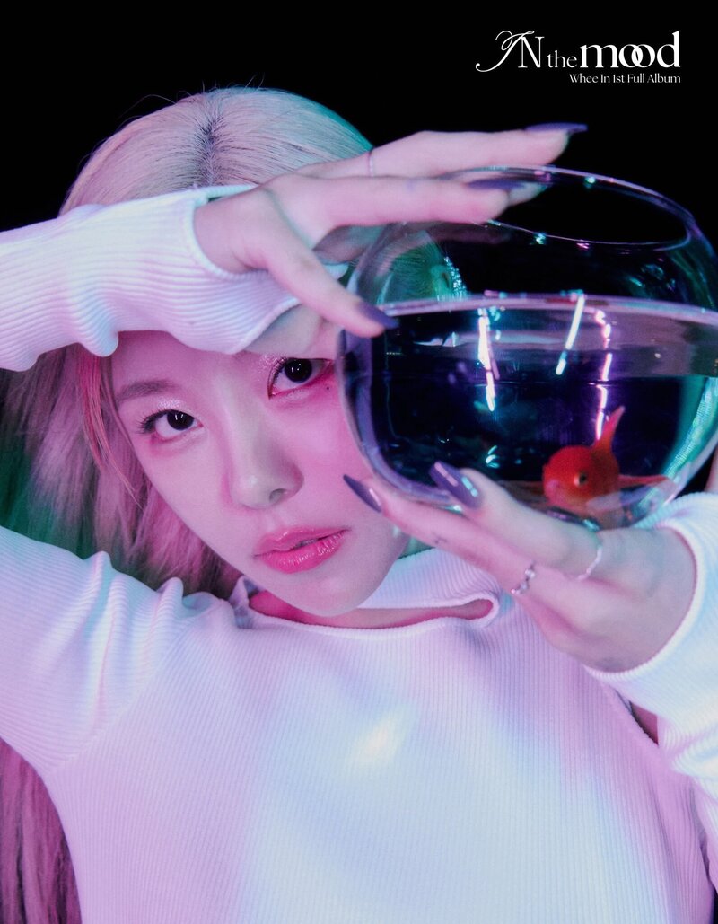 Whee In - "IN the mood" Concept Photos documents 2