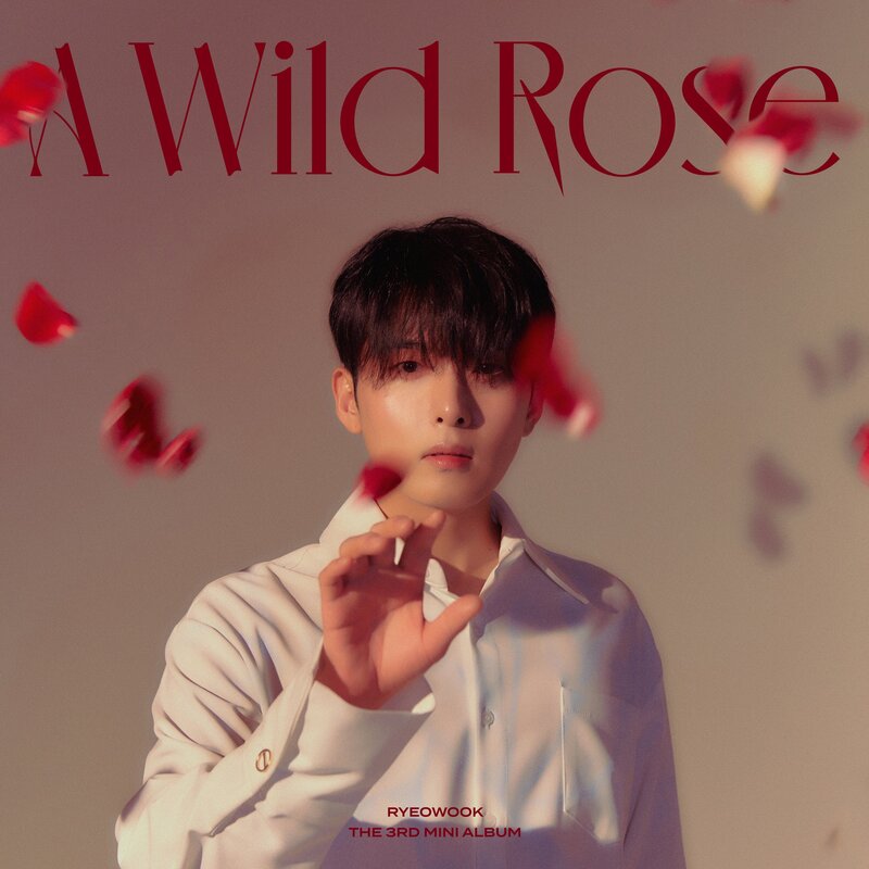 Ryeowook - 'A Wild Rose' Concept Teaser Images documents 22