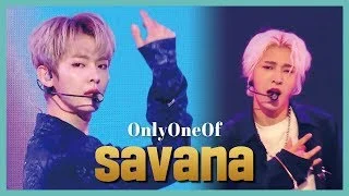 [HOT] OnlyOneOf - savanna, 온리원오브 - savanna Show Music core 20190629