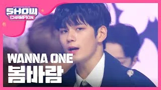 Show Champion EP.294 Wanna One - Spring Breeze