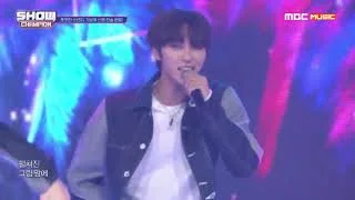 Show Champion EP.330 시그널(SIGNAL) - 너 다운 (SIGNAL - Down For You)