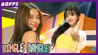 60FPS 1080P | AOA - Bingle Bangle, 에이오에이 - 빙글뱅글 Show Music Core 20180602