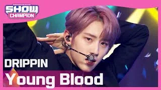 [Show Champion] 드리핀 - 영 블러드 (DRIPPIN - Young Blood) l EP.389