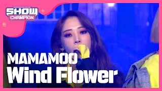 Show Champion EP.294 MAMAMOO - Wind Flower