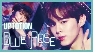 [HOT] UP10TION -  Blue Rose,  업텐션 - Blue Rose  Show Music core 20190105