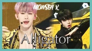 [HOT] MONSTA X - Alligator, 몬스타엑스 - Alligator  Show Music core 20190309