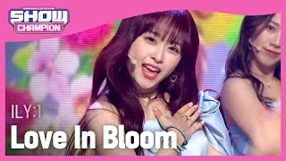 [HOT DEBUT] ILY:1 - Love In Bloom (아일리원 - 사랑아 피어라) | Show Champion | EP.429