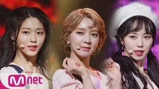[AOA - Excuse me] Special Stage | M COUNTDOWN 170119 EP.507
