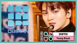[쇼! 음악중심] 드리핀 - 영 블러드 (DRIPPIN - Young Blood), MBC 210320 방송