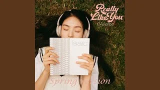 Really Like You (English) (Spring Version)