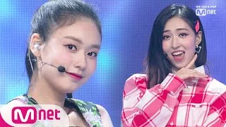 [FANATICS - SUNDAY] Debut Stage | M COUNTDOWN 190808 EP.630